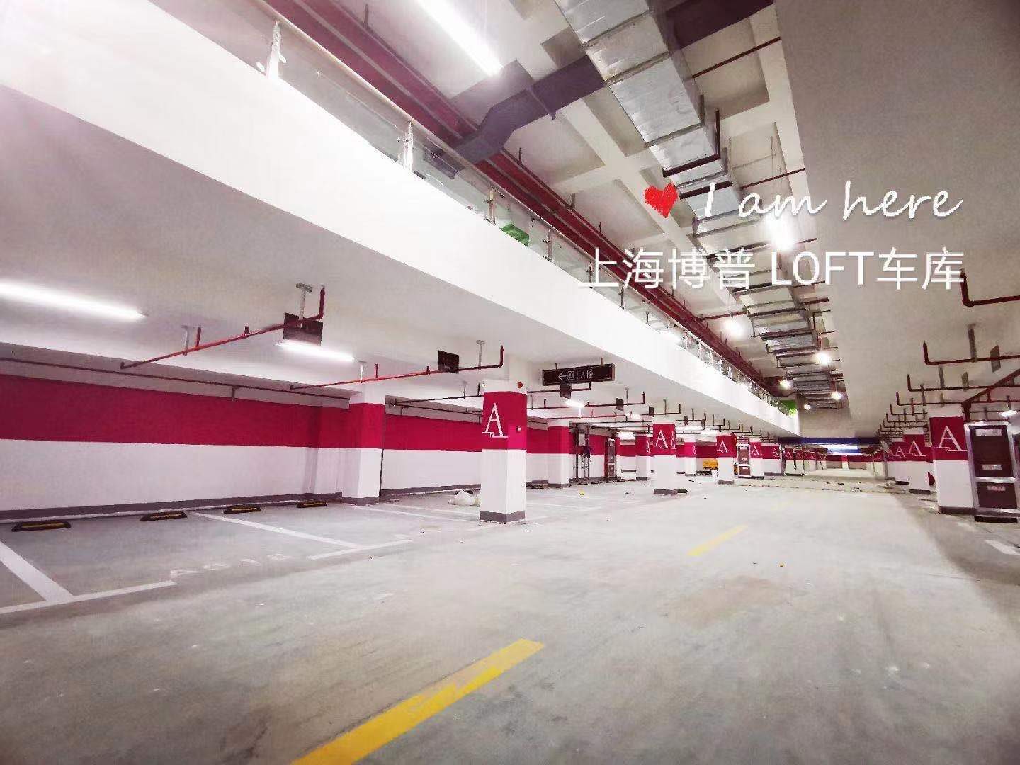 资阳已交竣的绿城豪华LOFT专利车库效果惊艳！
